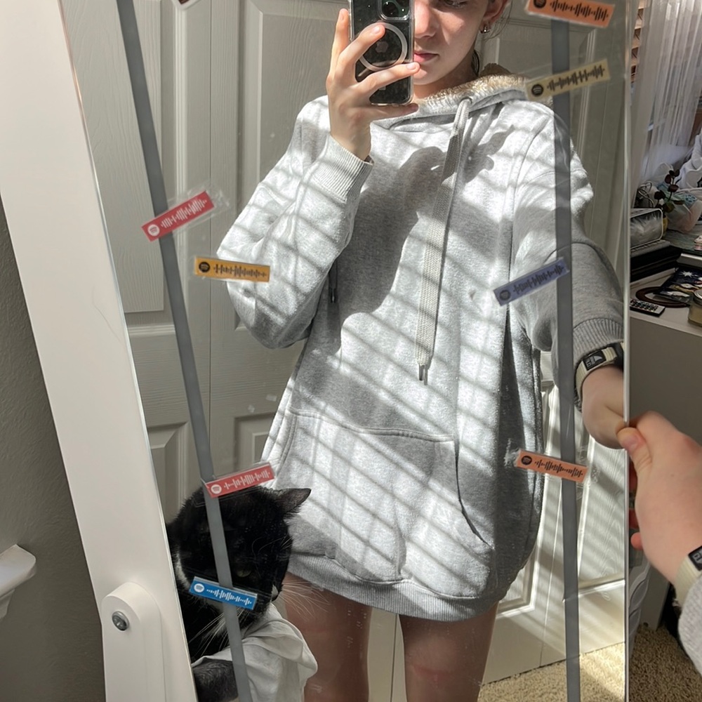 Aerie oversized hoodie